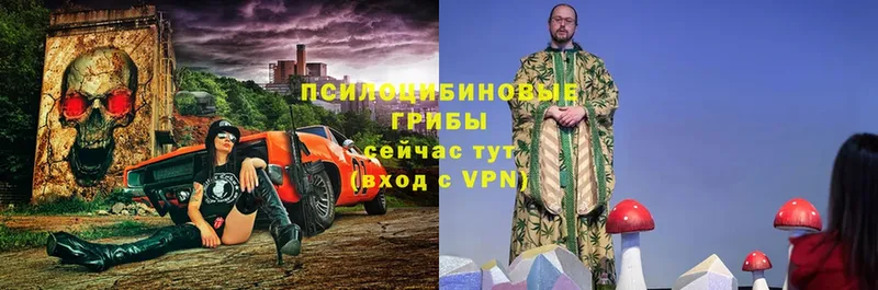 Псилоцибиновые грибы мицелий  Лаишево 